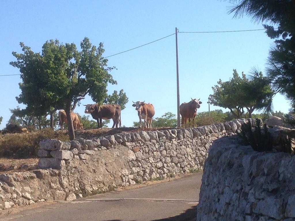 Trullo Picchiagiuda Villa Ostuni Eksteriør billede