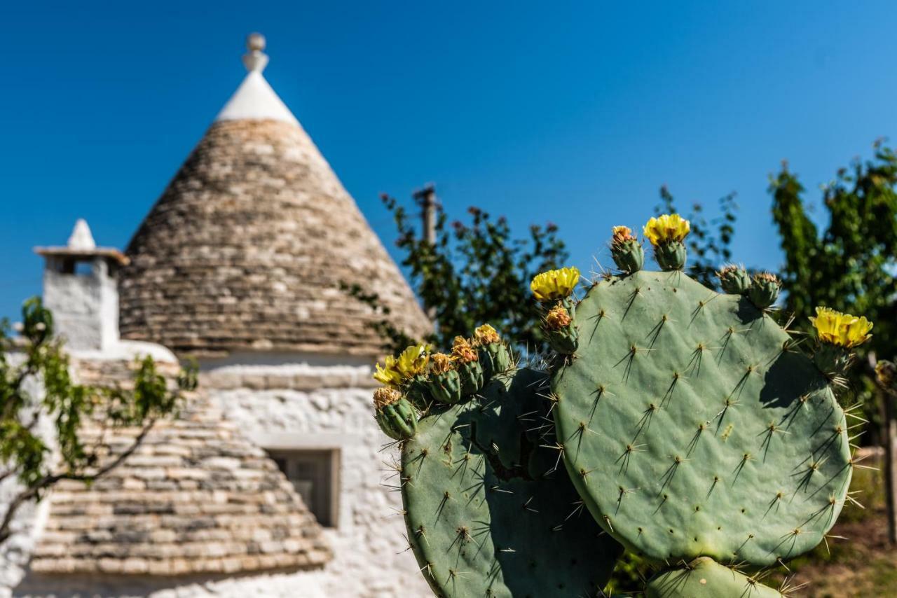 Trullo Picchiagiuda Villa Ostuni Eksteriør billede